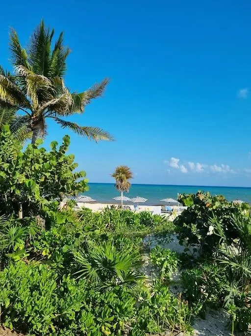 Beach Dream Apartment Playa del Carmen